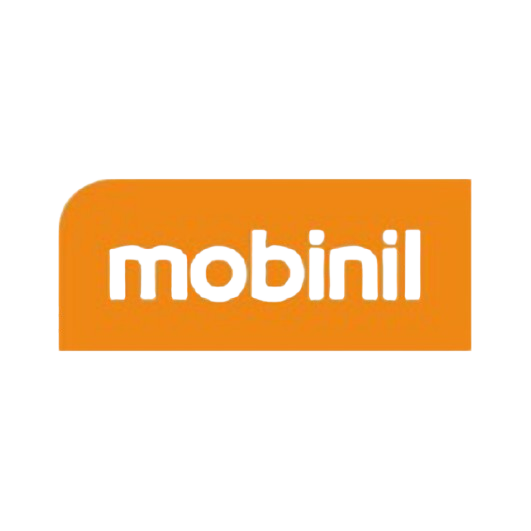 Logo 1