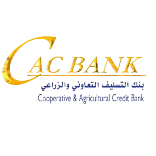 Logo 1